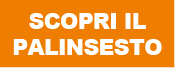 scopri il palinsesto